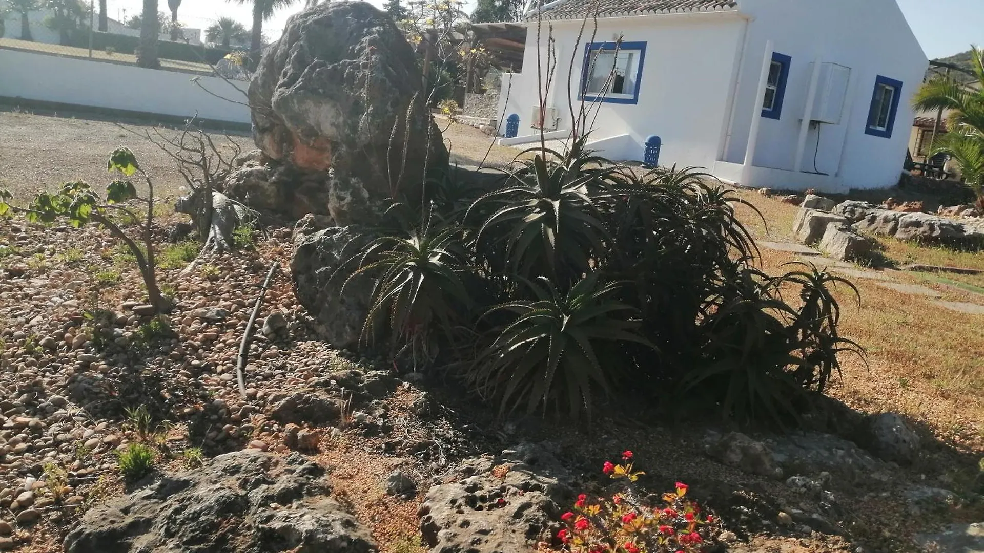 Medronhal Faro Em 520 - 2- Casas De Ferias Medronhal Nyaraló